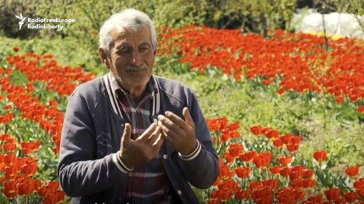 Tulipány bez nás uvadnou. Lidé se snaží zachránit pěstitele květin